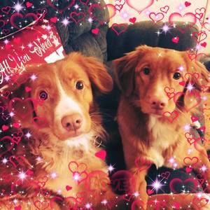 Meet your Posher, Darlene